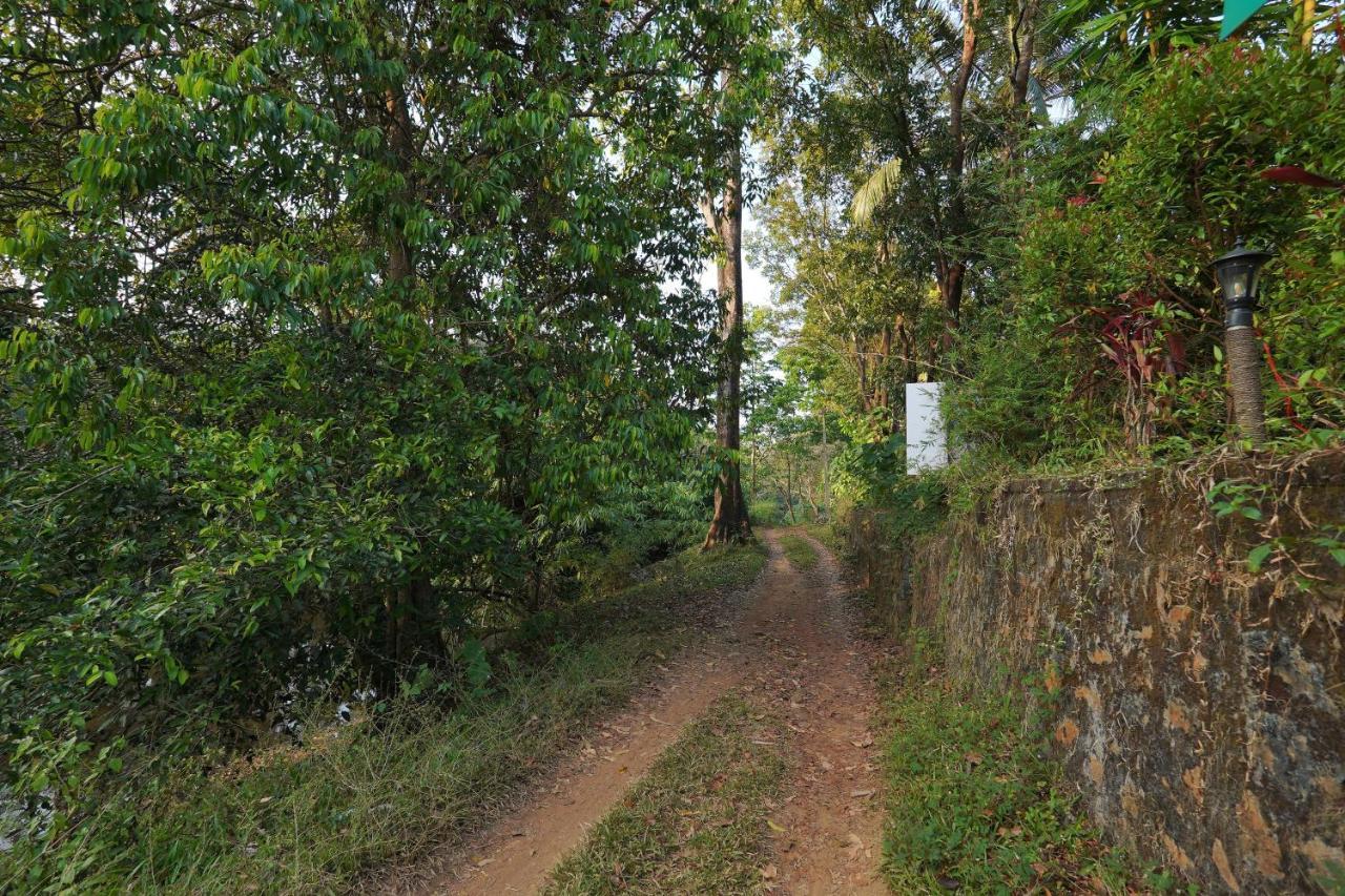 Athirapilly On The Rocks Hotel อทิราพาลลี ภายนอก รูปภาพ