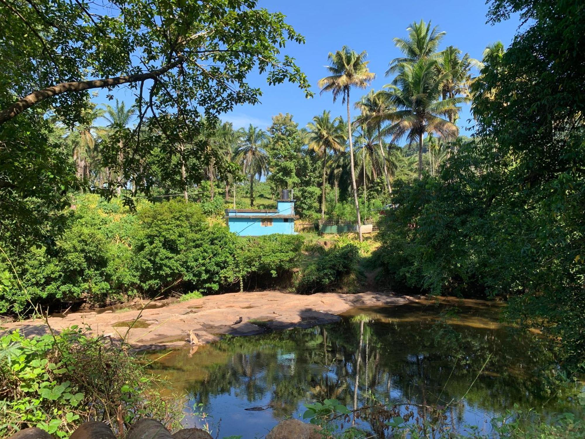 Athirapilly On The Rocks Hotel อทิราพาลลี ภายนอก รูปภาพ